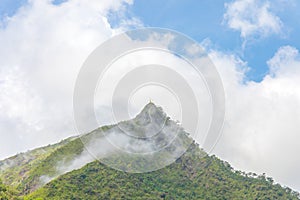 Top of peak mountain forest with white clouds or fog and blue sky of `LerGuaDa` or `Ler Gwa Dor` Tak province, Thailand, Asia. photo