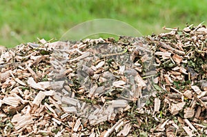 Top of a pile with woodchips