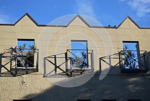 Top roof floor of a building with plants on three balcony windows