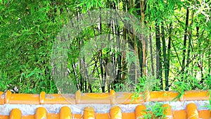 Top roof home chinese style and bamboo in the garden