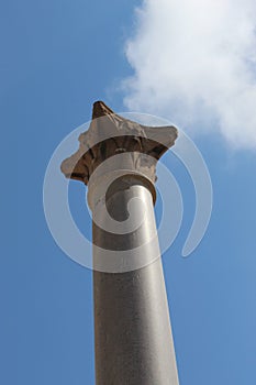 Top of Serapeum and Pompey`s Pillar