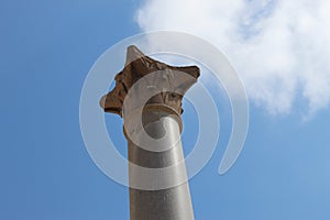 Top of Serapeum and Pompey`s Pillar