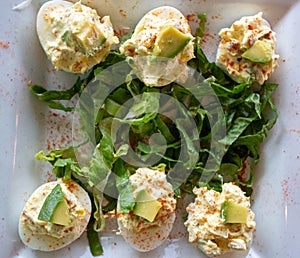 Top shot of Deviled Eggs