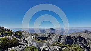 At the top of Table Mountain in Cape Town there is scant vegetation, gray boulders.