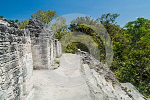 Top of Talud-Tablero temple at the archaeological site Tikal, Guatema photo