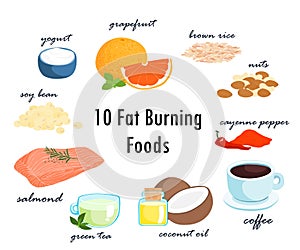 Top ten fat burning fat foods illustration