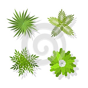 Top trees and bushes. Landscape green elements for design. Exotic tree icons, summer planting organic eco symbols, park