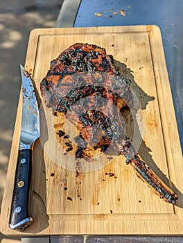 Top usda prime top quality grilled meat