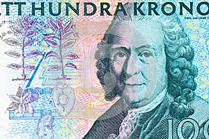 Top view of 100 Swedish Krona Banknote, portrait of Swedish botanist Carl von Linne