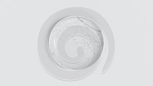 Top View 3D Illustration White Marble Plate 30cm on a White Background