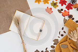 Top view above of modern office desk with coffee cup, notebook, pen and yellow-red autumn leaves on white background