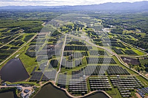 Top view Aerial view of Solar panel, photovoltaic, alternative electricity source