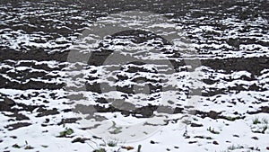 Top view of agricultural fields covered with snow. Plowed Field covered with snow.