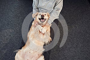 Top view. Animal is lying down, happy. Woman is with golden retriever dog at home