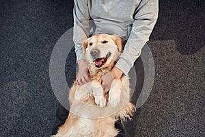Top view. Animal is lying down, happy. Woman is with golden retriever dog at home