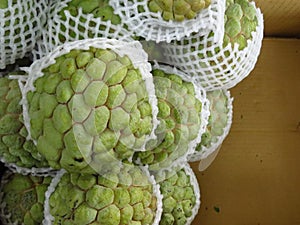 Top view of anona fruit wrapped in net bags photo
