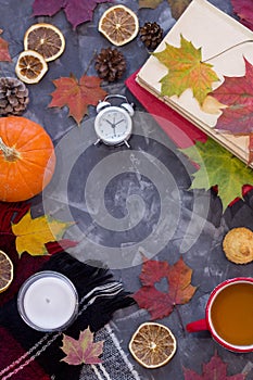 Top view apportion from autumn objects on a concrete background. Autumn still life