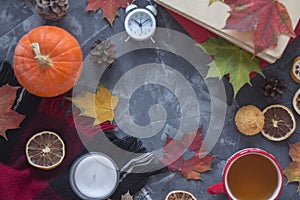 Top view apportion from autumn objects on a concrete background. Autumn still life