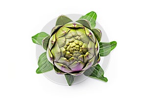Top view of artichoke is isolated on a white background.