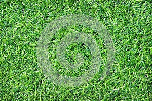 Top view artificial green grass field texture in garden on background