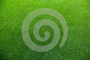 Top view of artificial green grass texture for background. Abstract concept design picture backdrop for golf course and sports