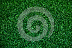 Top view of artificial green grass texture for background. Abstract concept design picture backdrop for golf course and sports