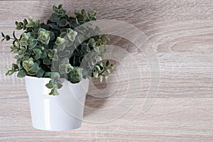 Top view of artificial potted plant on wooden table