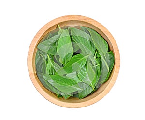 Top view of asia sweet basil leaves in wooden bowl isolated