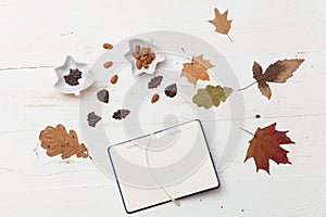 Top view on autumn background: leaves, chocolate, nuts and daily planner on wooden white board