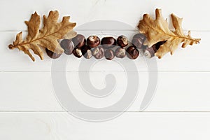 Top view of autumn composition with chestnuts and dry leaves over white wooden background with empty space. Autumn concept.