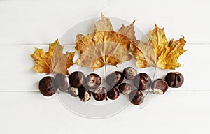 Top view of autumn composition with chestnuts and dry leaves over white wooden background with empty space. Autumn concept.