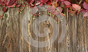 Maiden grape and green berries on wooden photo