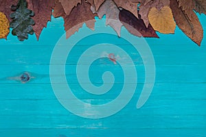 Top view of autumn dry leaves banner over wooden blue background with copy space