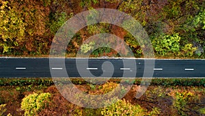 Top view of autumn forest with straight asphalt roads