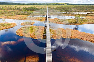 Top view of autumn landscape. Huge bog in Estonia