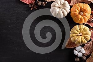 Top view of  Autumn maple leaves with Pumpkin and red berries on black wooden background. Thanksgiving day concept