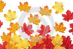 Top view Autumn maple leaves texture. Background made of color red and orange leaves isolate on white background. Nature backgroun