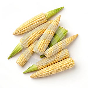 Baby corn top view isolated on white photo