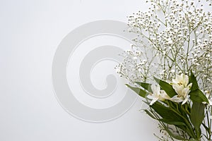 Top view baby s breath white lilies flower white background. High quality and resolution beautiful photo concept