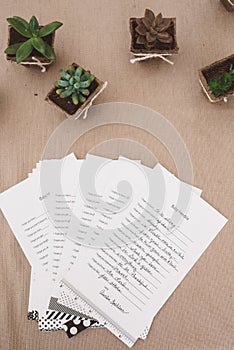 Top view of baby shower stationaries beside succulent in pots isolated on a pink surface