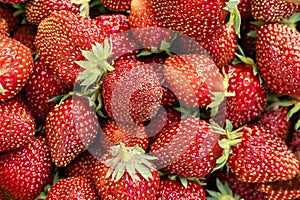 Top view of background with red fresh strawberries