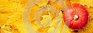 Top view banner of an orange pumpkin on yellow maple leaves