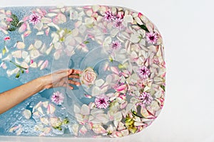 Top view of bath filled with blue bubble water, flowers and petals with woman`s hand