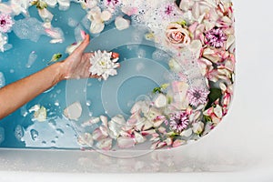 Top view of bath filled with blue bubble water and petals with woman`s hand