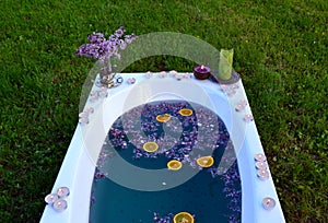 Top view of a bathtub with blue water and lilacs flowers