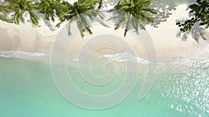 Top view of beaches and blue sea Surrounded by palm trees