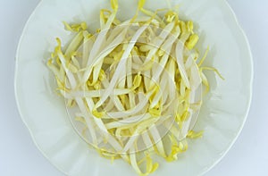 Top view of Bean sprouts