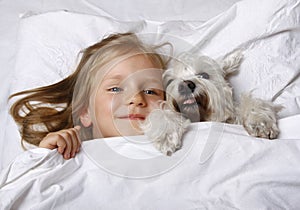 Top view of beautiful blonde little girl lying with white schnauzer puppy dog on white bed. Friendship concept.