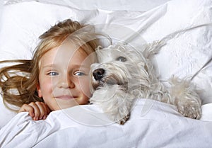 Top view of beautiful blonde little girl lying with white schnauzer puppy dog on white bed. Friendship concept.