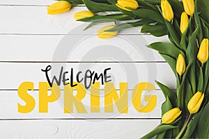 top view of beautiful blooming yellow tulips and WELCOME SPRING lettering on white